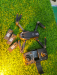 Drone Model V166 (Check in the description)